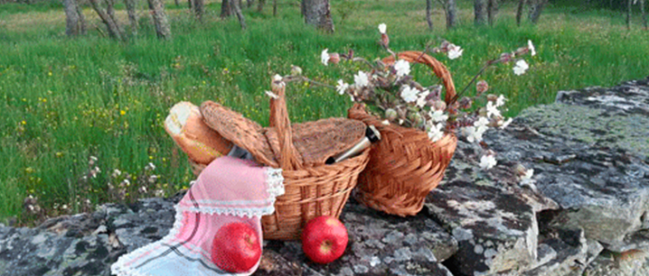 farm picnic